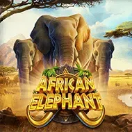 African Elephant screenshot